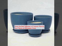 植物 の ため の 陶器 の 鍋 を 適正 な 価格 で 購入 する