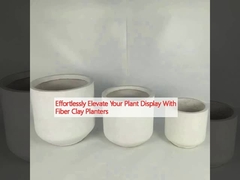 粘土 繊維 の 植樹 器 で 植物 の 展示 場 を 簡単に 上げ て ください