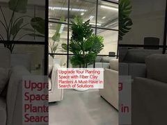 繊維 粘土 の 植樹 器 を 用い て 植樹 場 を 改良 する