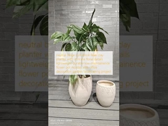 中性ベージュ 円形繊維の粘土プランター 複雑な花の詳細 軽量 耐久性 低保養性 花のポット 休日 ビラ オフィス 装飾 庭園 景観設計 プロジェクト