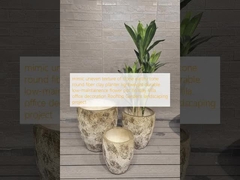 石の不均一な質感を模倣した、アースカラーの丸い繊維粘土プランター。軽量で耐久性があり、メンテナンスが容易な植木鉢。別荘、オフィス、屋上庭園、造園プロジェクトの装飾に最適。