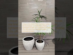 独特の白い花瓶: 特徴的なモザイク - レンガのようなデザイン 丸い繊維粘土の植樹 軽量 耐久性 低保養 休日 ビラ オフィス 装飾 屋根 庭園 景観設計 プロジェクト