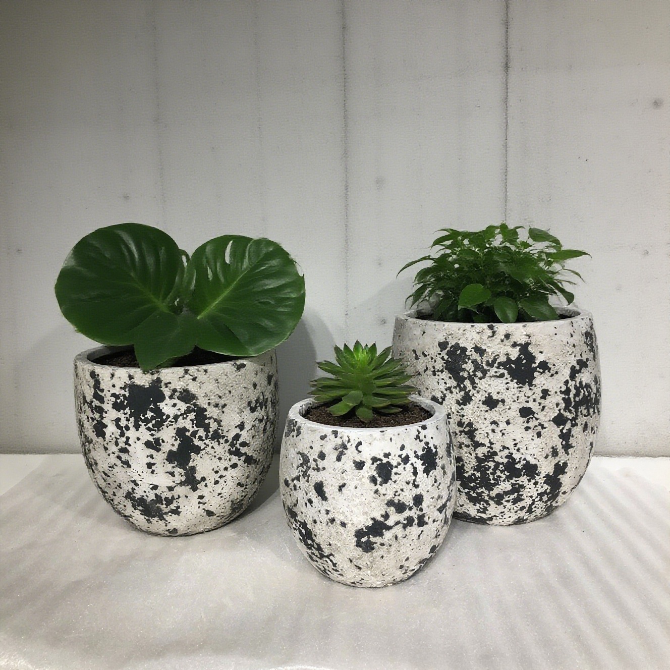 最新の企業ブログについて 生命に植える 銀河の断片