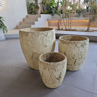 購入 古代 様式 の 手彫り の 凍り に 耐える 花 / 緑 の 植物 の 植える 器 online manufacture