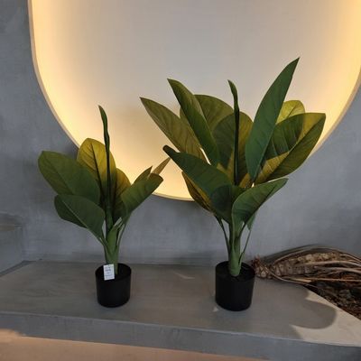 購入 耐久性のあるプラスチック素材 人工植物 70cm 人工ダイフェンバキア 木 online manufacture