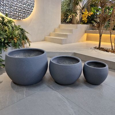 購入 防火 粘土 繊維 植樹  Frost 耐える 庭 online manufacture