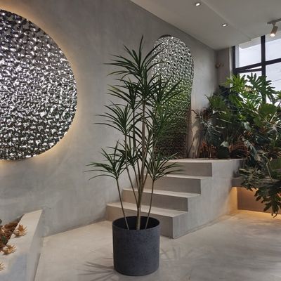 購入 種 を 植える ため の 軽量 な 丸型 リサイクル プラスチック プランター online manufacture