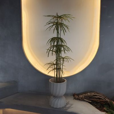 購入 紫外線 に 耐える プラスチック 偽造 植物 人工 グラプトペタラム 木 online manufacture