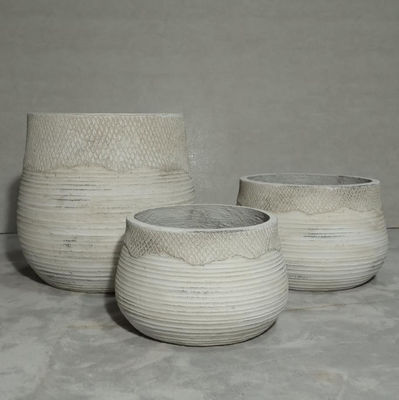 購入 室内 屋外 庭 植樹 鉢 耐久性 汎用性 植物 植物 植物 online manufacture