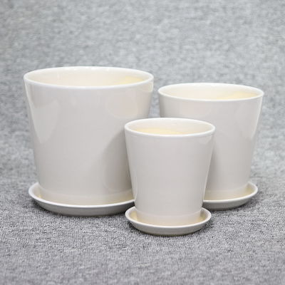 購入 植物にエレガンス を 添え て ください online manufacture