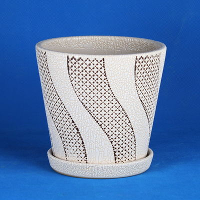 購入 鮮やかな 植物 の 秘訣 online manufacture