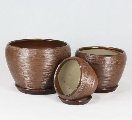 購入 簡単 に 清める 陶器 の 鍋 甘い 植物 や カクティ 種 の 種類 online manufacture