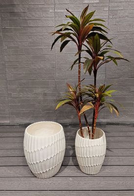 購入 室内・室外用 耐久性のある粘土繊維植樹器 保存5〜6年 online manufacture