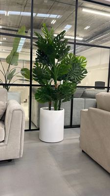 購入 繊維 粘土 の 植樹 器 を 用い て 植樹 場 を 改良 する online manufacture