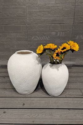 購入 植物愛好家 の ため に 丸い 繊維 セメント 鍋 の 排水 穴 online manufacture