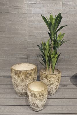 購入 高さ 地味 丸い 繊維 粘土 軽量 耐久 屋上 ガーデン ポット online manufacture