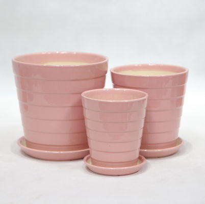 屋内 の 緑 を 造る 手作 で 作ら れ た 輝く 現代の 陶器 の 鍋