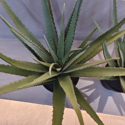 リアルなプラスチック アロエ植物 室内 屋外 人工 アロエ ベラ 偽りの緑の装飾