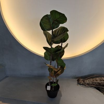 100cm 人工ココロバ木 UV耐性