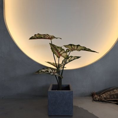 リアルな緑色プラスチック 人工植物 70-120cm 室内・室外装飾用