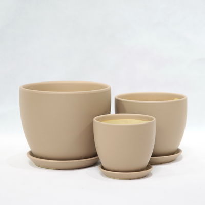 植物 に ぴったり な 価格 で 陶器 の 鍋 を 選べ
