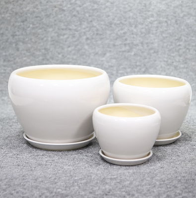 陶器のポットで 素晴らしい植物展示 物価が安く