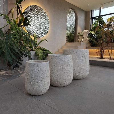 手彫り 強化 粘土 プランター 室内 や 室外 の 庭 に 用い られる 現代の スタイル