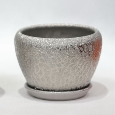 清潔 に 容易 な 陶器 の 盆 植物 耐久 型 で スタイリッシュ な 選択肢