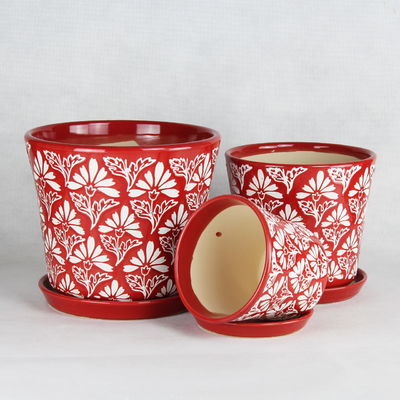 独特 で 目 を 引く 植物 コレクション の ため の 独特 な 陶器 鍋