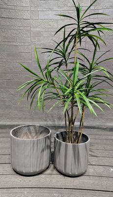 カスタマイズ可能な粘土繊維の植樹機 - 耐候性