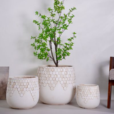 小型環境にやさしい花瓶 室内/屋外植物の排水 普段使うデスク/ガーデンデザインのパッケージボックス