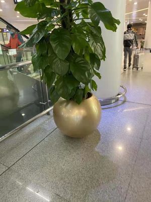 名前