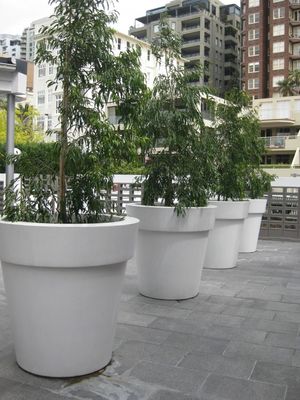 名前