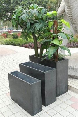 名前